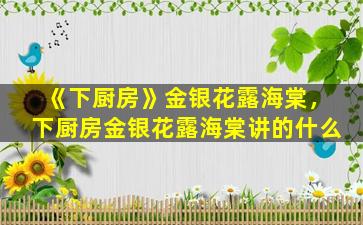 《下厨房》金银花露海棠，下厨房金银花露海棠讲的什么