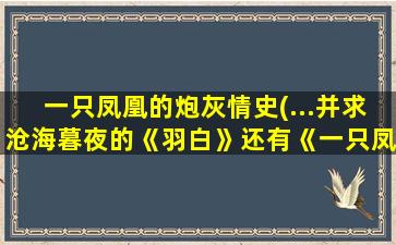 一只凤凰的炮灰情史(…并求沧海暮夜的《羽白》还有《一只凤凰的炮灰情史》)