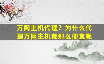 万网主机代理？为什么代理万网主机都那么便宜呢