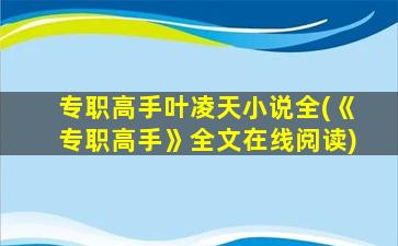 专职高手叶凌天小说全(《专职高手》全文在线阅读)