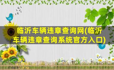 临沂车辆违章查询网(临沂车辆违章查询系统官方入口)