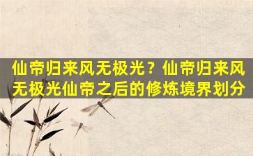 仙帝归来风无极光？仙帝归来风无极光仙帝之后的修炼境界划分