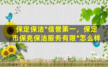 保定保洁*信誉第一，保定市保亮保洁服务有限*怎么样