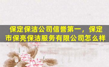 保定保洁*信誉第一，保定市保亮保洁服务有限*怎么样