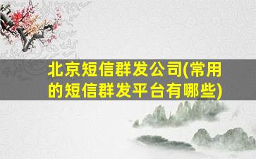 北京短信群发*(常用的短信群发平台有哪些)