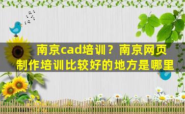 南京cad培训？南京网页制作培训比较好的地方是哪里