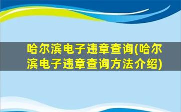 哈尔滨电子违章查询(哈尔滨电子违章查询方法介绍)