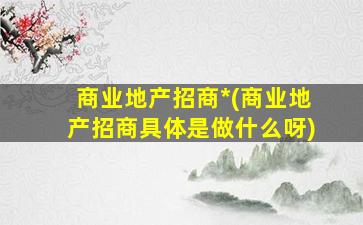 商业地产招商*(商业地产招商具体是做什么呀)