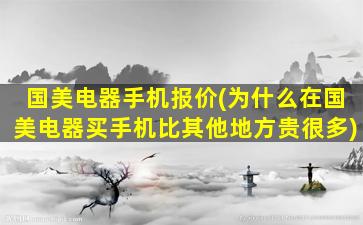 国美电器手机报价(为什么在国美电器买手机比其他地方贵很多)