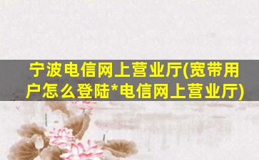 宁波电信网上营业厅(宽带用户怎么登陆*电信网上营业厅)插图