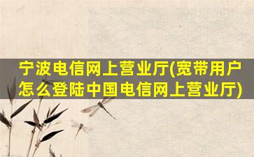 宁波电信网上营业厅(宽带用户怎么登陆*电信网上营业厅)