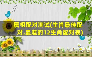 属相配对测试(生肖最佳配对,最准的12生肖配对表)