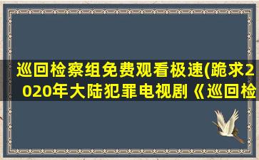 巡回检察组免费观看极速(跪求2020年大陆犯罪电视剧《巡回检察组》高清视频在线观看)