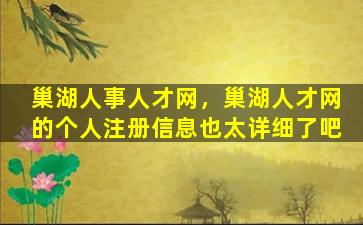 巢湖人事人才网，巢湖人才网的个人注册信息也太详细了吧