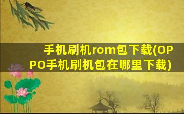 手机刷机rom包下载(OPPO手机刷机包在哪里下载)