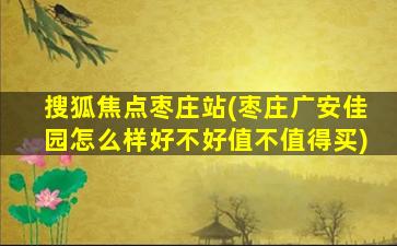搜狐焦点枣庄站(枣庄广安佳园怎么样好不好值不值得买)