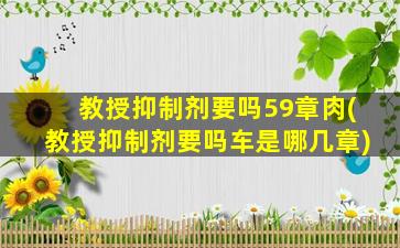 教授抑制剂要吗59章肉(教授抑制剂要吗车是哪几章)