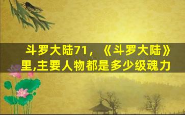 斗罗大陆71，《斗罗大陆》里,主要人物都是多少级魂力