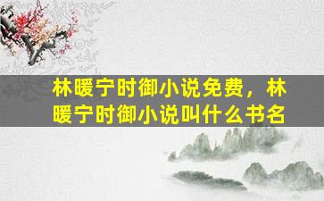 林暖宁时御小说免费，林暖宁时御小说叫什么书名