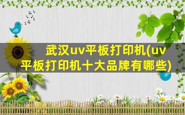 武汉uv平板打印机(uv平板打印机十大品牌有哪些)