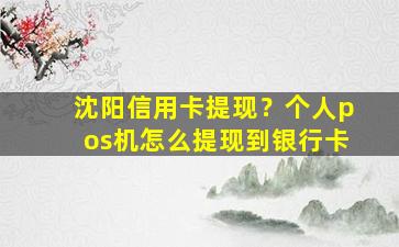 沈阳信用卡提现？个人pos机怎么提现到银行卡