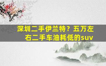 深圳二手伊兰特？五万左右二手车油耗低的suv