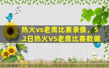 热火vs老鹰比赛录像，5.2日热火VS老鹰比赛数据插图