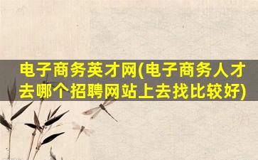 电子商务英才网(电子商务人才去哪个招聘网站上去找比较好)