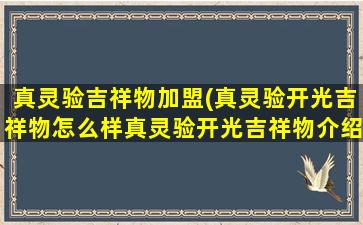 真灵验吉祥物加盟(真灵验开光吉祥物怎么样真灵验开光吉祥物介绍)