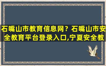 石嘴山市教育信息网？石嘴山市安全教育平台登录入口,宁夏安全教育平台登录账号入口