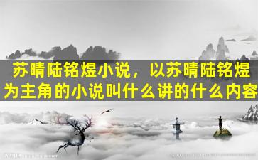 苏晴陆铭煜小说，以苏晴陆铭煜为主角的小说叫什么讲的什么内容