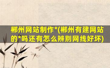 郴州网站制作*(郴州有建网站的*吗还有怎么辨别网线好坏)