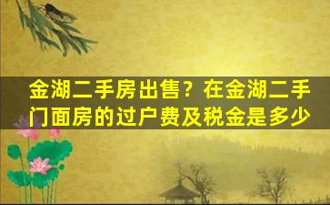 金湖二手房*？在金湖二手门面房的过户费及税金是多少
