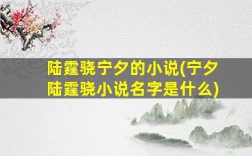 陆霆骁宁夕的小说(宁夕陆霆骁小说名字是什么)