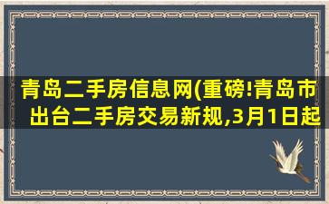 青岛二手房信息网(重磅!青岛市出台二手房交易新规,3月1日起实施)