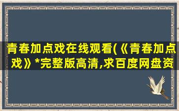 青春加点戏在线观看(《青春加点戏》*完整版高清,求百度网盘资源)插图