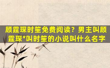 顾霆琛时笙免费阅读？男主叫顾霆琛*叫时笙的小说叫什么名字