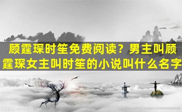 顾霆琛时笙免费阅读？男主叫顾霆琛*叫时笙的小说叫什么名字